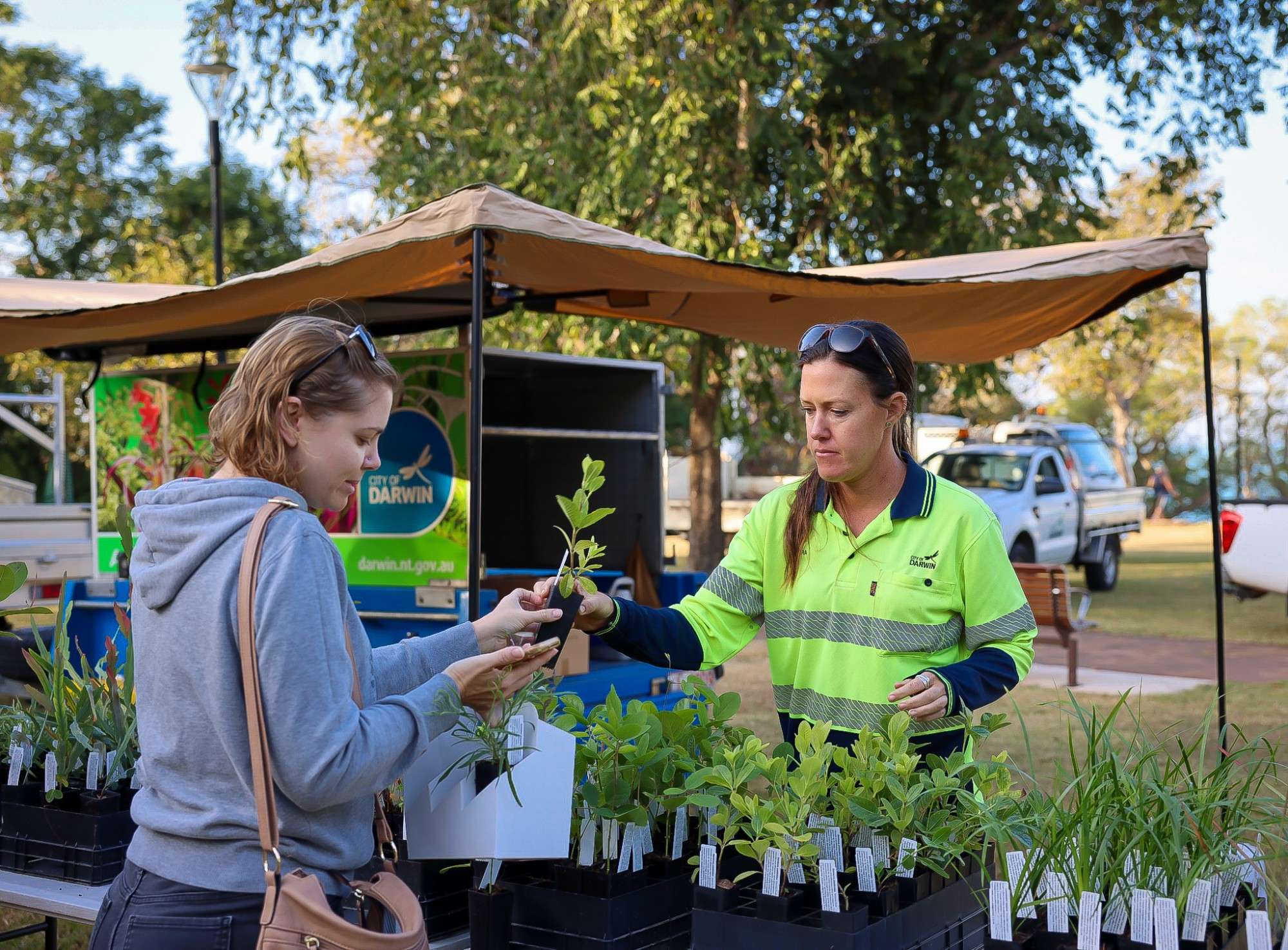 Native Plant Giveaway Old McMillan’s Park City of Darwin Darwin